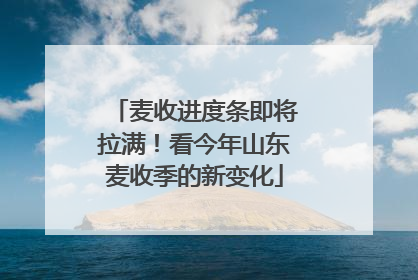 麦收进度条即将拉满！看今年山东麦收季的新变化