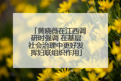黄晓薇在江西调研时强调 在基层社会治理中更好发挥妇联组织作用