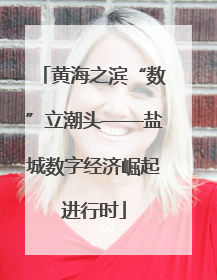 黄海之滨“数”立潮头——盐城数字经济崛起进行时
