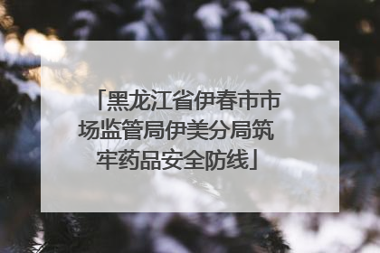 黑龙江省伊春市市场监管局伊美分局筑牢药品安全防线