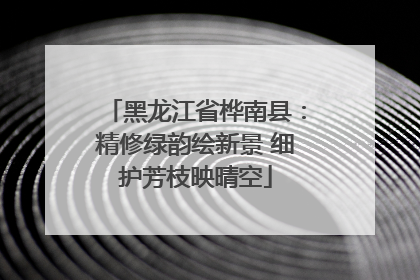 黑龙江省桦南县：精修绿韵绘新景 细护芳枝映晴空