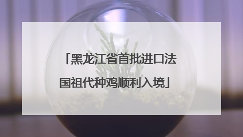 黑龙江省首批进口法国祖代种鸡顺利入境