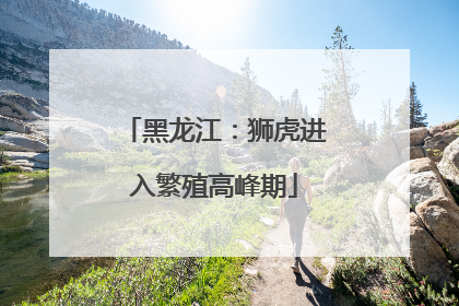 黑龙江：狮虎进入繁殖高峰期