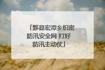 黟县宏潭乡织密防汛安全网 打好防汛主动仗