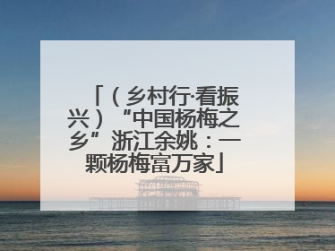 （乡村行·看振兴）“中国杨梅之乡”浙江余姚：一颗杨梅富万家
