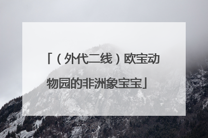 （外代二线）欧宝动物园的非洲象宝宝
