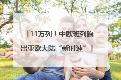 11万列！中欧班列跑出亚欧大陆“新时速”