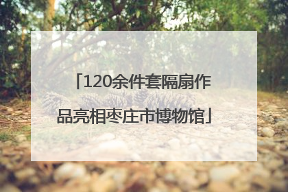 120余件套隔扇作品亮相枣庄市博物馆