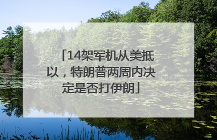 14架军机从美抵以，特朗普两周内决定是否打伊朗