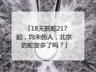 18天抓蛇217起，均未伤人，北京的蛇变多了吗？