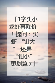 1字头小龙虾再降价！提问：买虾 “钳大” 还是 “钳小” 更划算？