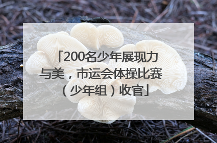200名少年展现力与美，市运会体操比赛（少年组）收官