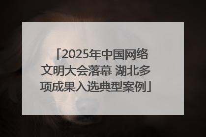 2025年中国网络文明大会落幕 湖北多项成果入选典型案例