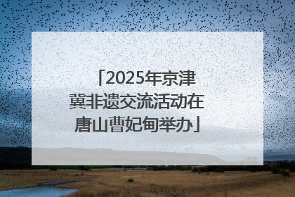 2025年京津冀非遗交流活动在唐山曹妃甸举办