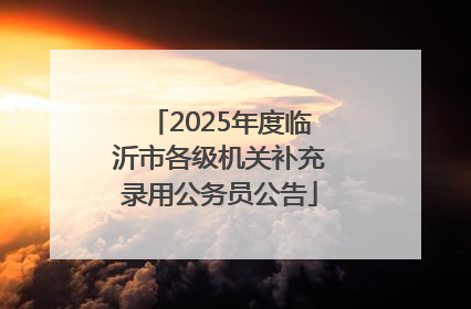 2025年度临沂市各级机关补充录用公务员公告