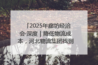 2025年廊坊经洽会·深度｜降低物流成本，河北物流集团找到一把“金钥匙”