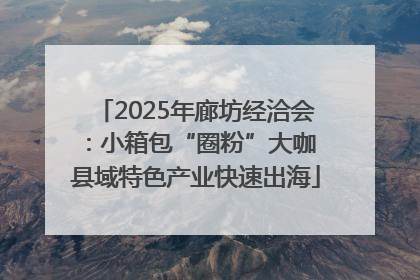 2025年廊坊经洽会：小箱包“圈粉”大咖 县域特色产业快速出海