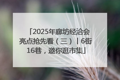 2025年廊坊经洽会亮点抢先看（三）丨6街16巷，邀你逛市集