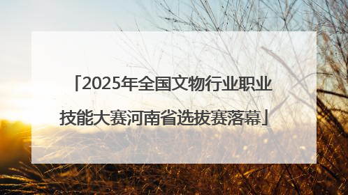 2025年全国文物行业职业技能大赛河南省选拔赛落幕