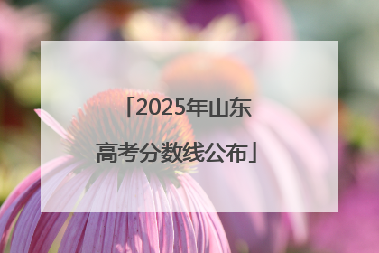 2025年山东高考分数线公布