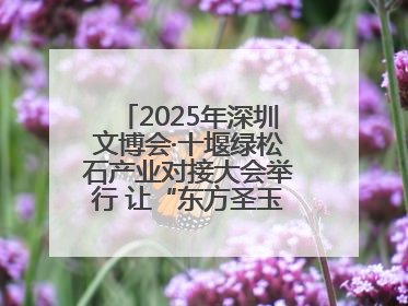 2025年深圳文博会·十堰绿松石产业对接大会举行 让“东方圣玉”闪耀世界