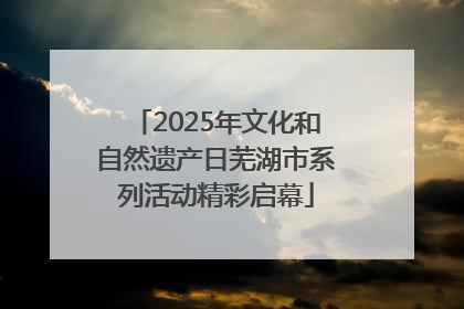 2025年文化和自然遗产日芜湖市系列活动精彩启幕