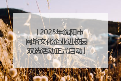 2025年沈阳市网络文化企业进校园双选活动正式启动