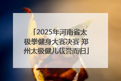 2025年河南省太极拳健身大赛决赛 郑州太极健儿载誉而归