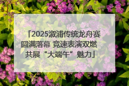 2025溆浦传统龙舟赛圆满落幕 竞速表演双燃 共展“大端午”魅力