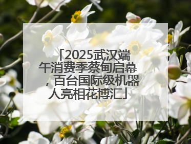 2025武汉端午消费季蔡甸启幕，百台国际级机器人亮相花博汇