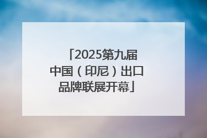 2025第九届中国（印尼）出口品牌联展开幕