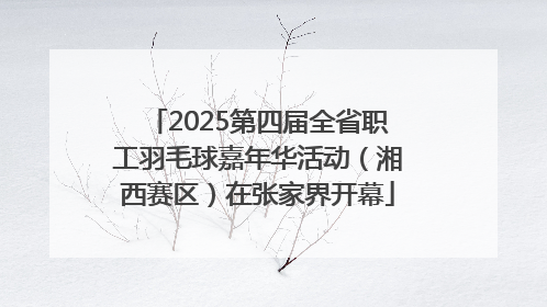 2025第四届全省职工羽毛球嘉年华活动（湘西赛区）在张家界开幕