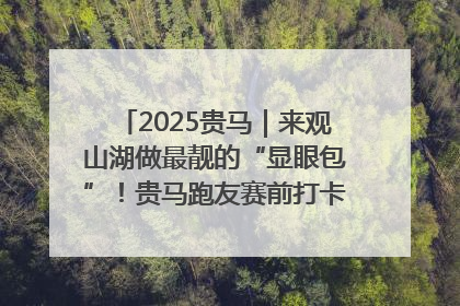 2025贵马｜来观山湖做最靓的“显眼包”！贵马跑友赛前打卡点燃奔跑热情