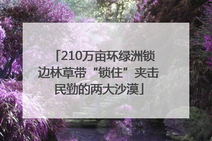 210万亩环绿洲锁边林草带“锁住”夹击民勤的两大沙漠