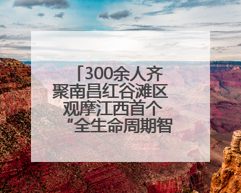 300余人齐聚南昌红谷滩区 观摩江西首个“全生命周期智慧工地”