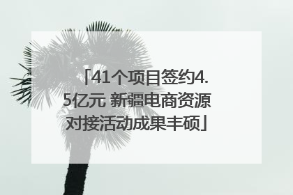 41个项目签约4.5亿元 新疆电商资源对接活动成果丰硕