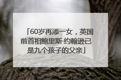 60岁再添一女，英国前首相鲍里斯·约翰逊已是九个孩子的父亲