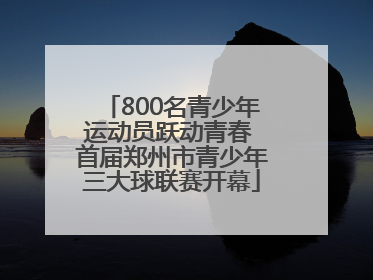 800名青少年运动员跃动青春 首届郑州市青少年三大球联赛开幕