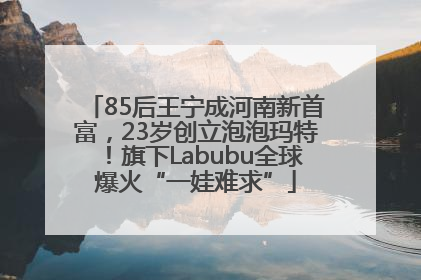 85后王宁成河南新首富，23岁创立泡泡玛特！旗下Labubu全球爆火“一娃难求”