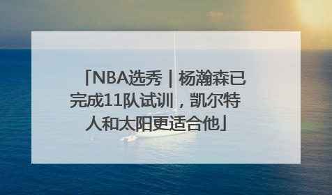 NBA选秀｜杨瀚森已完成11队试训，凯尔特人和太阳更适合他
