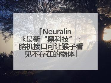 Neuralink最新“黑科技”：脑机接口可让猴子看见不存在的物体