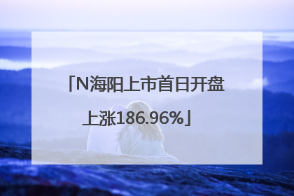N海阳上市首日开盘上涨186.96%